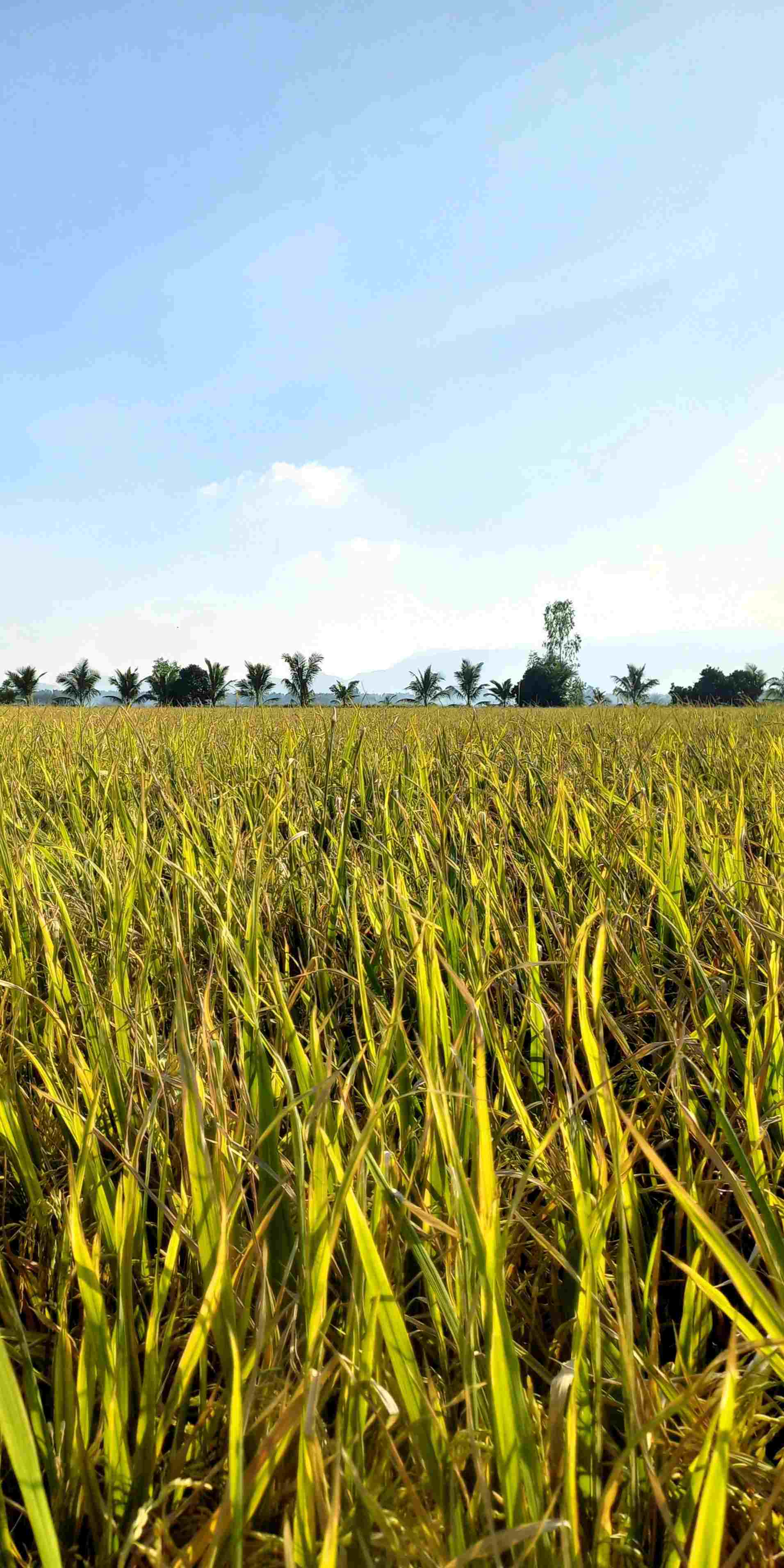 Châu Đốc - Vietnam