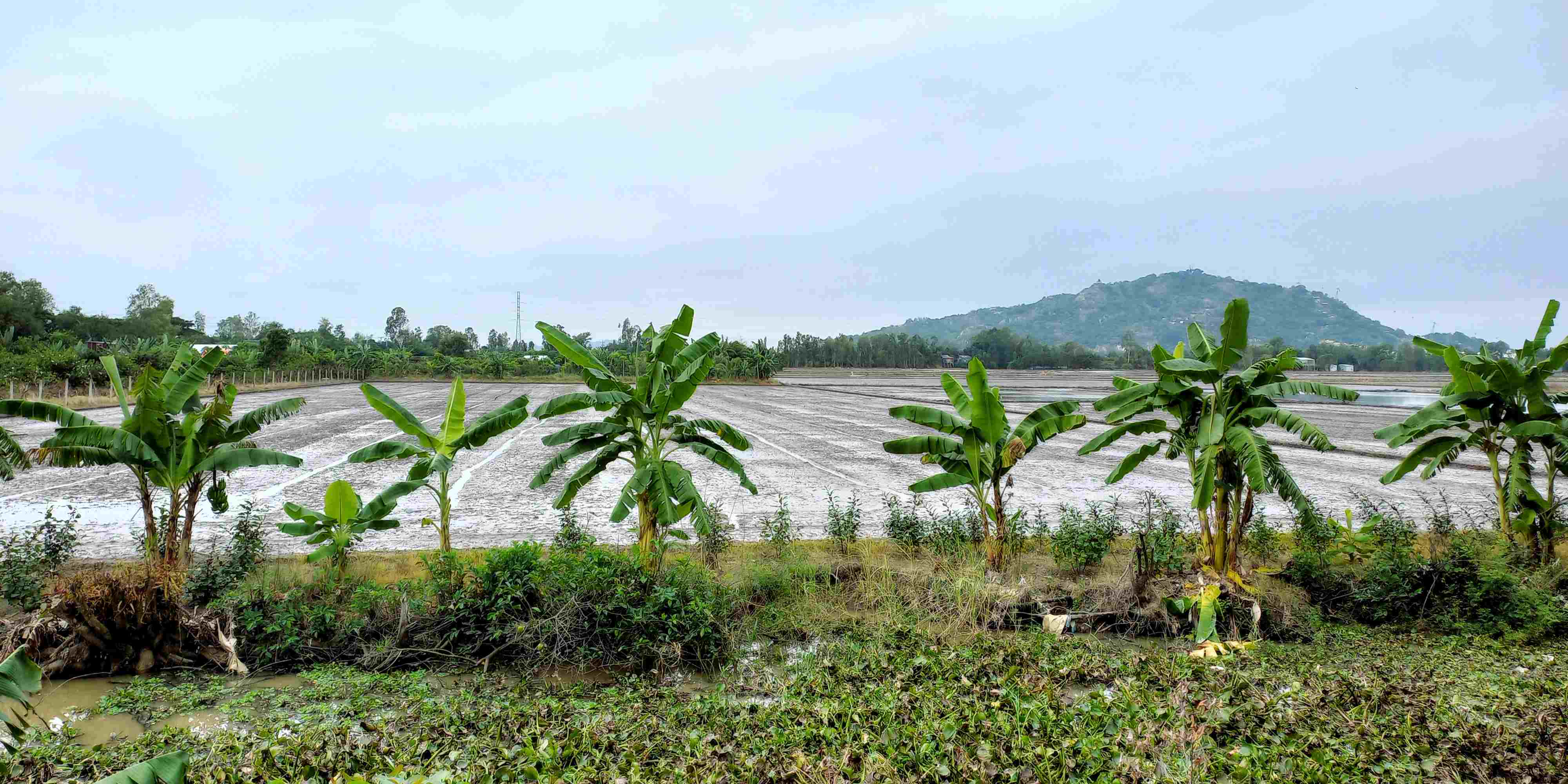 Châu Đốc - Vietnam