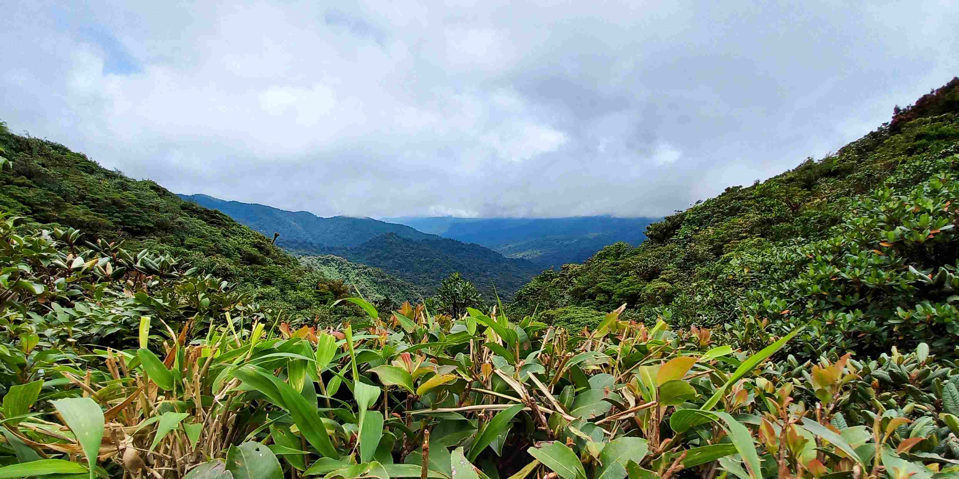 Monteverde - Costa Rica