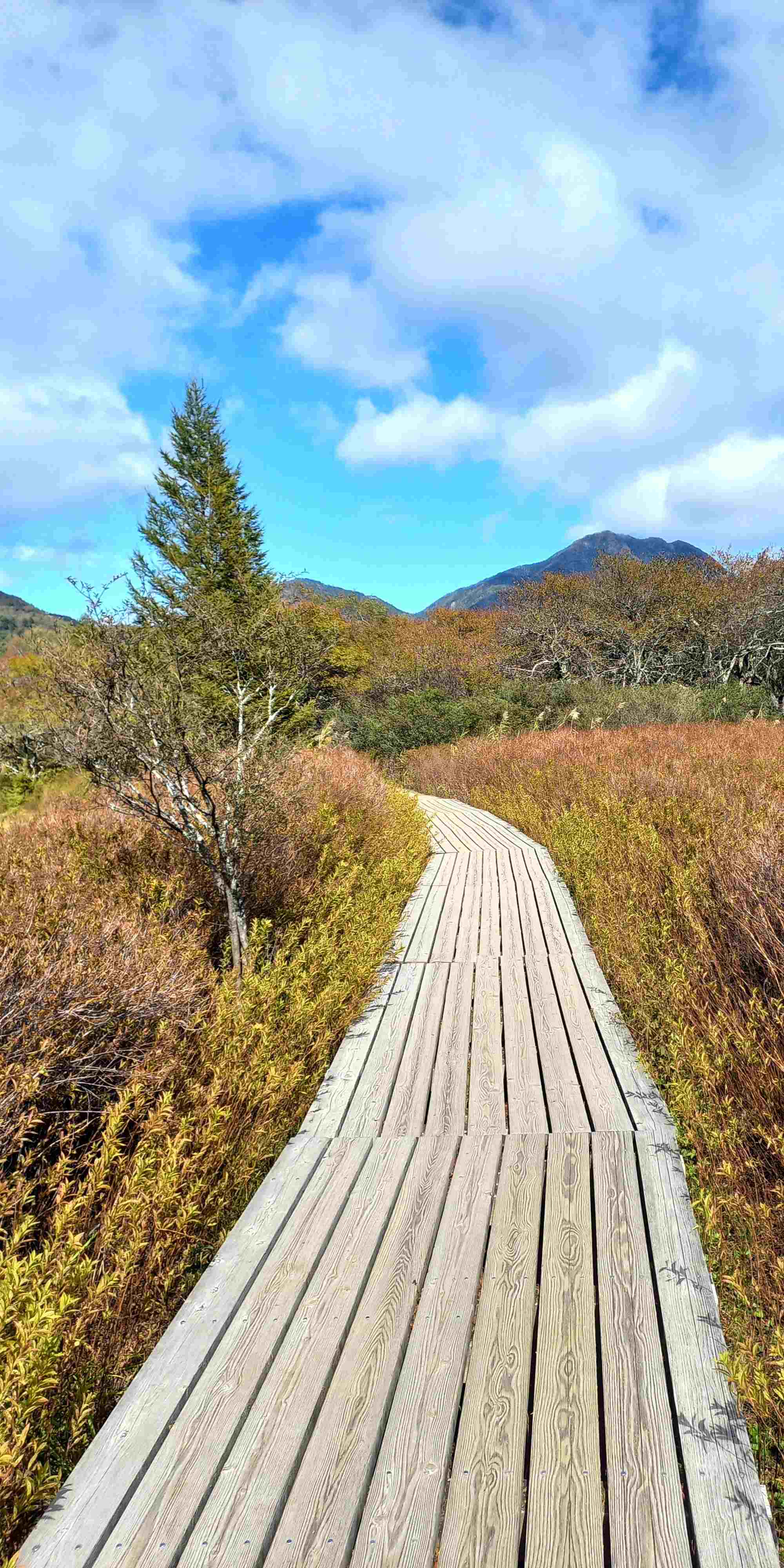Senjōgahara - Japan